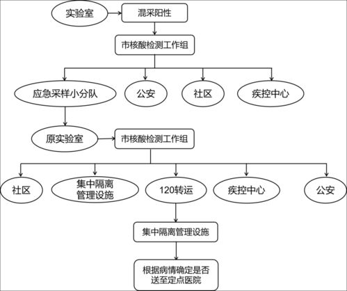 无标题